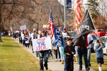 Stop the steal protest edited