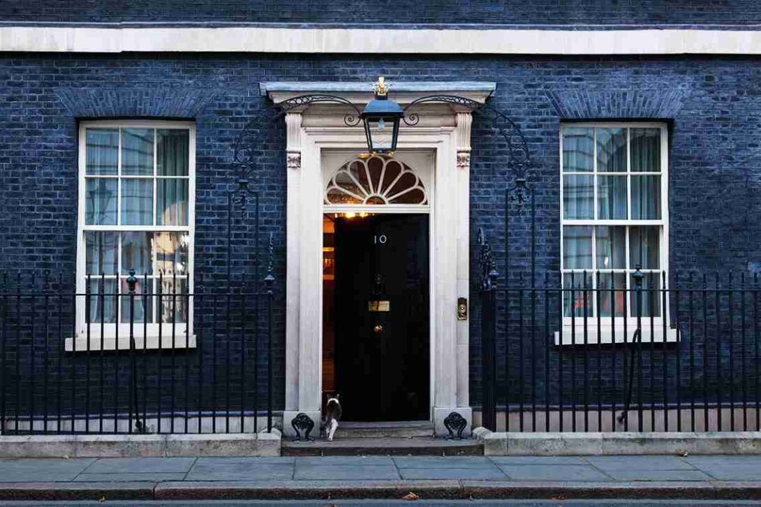 10 Downing Street Cat Gradient