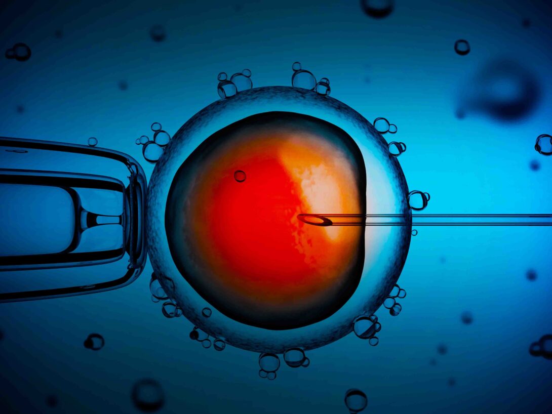 Artificial Insemination Gradient