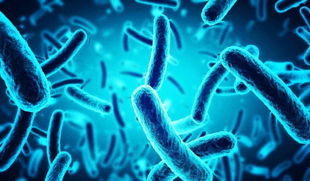 Bacteria Cells Edited