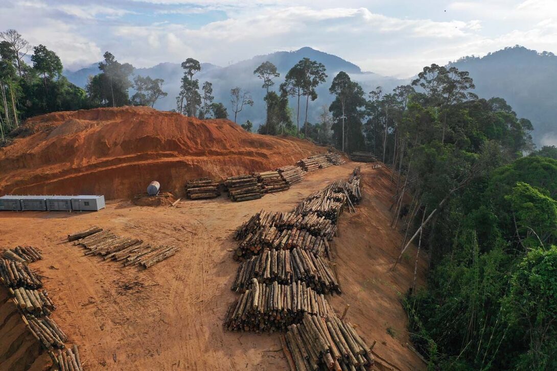 Deforestation edited 1