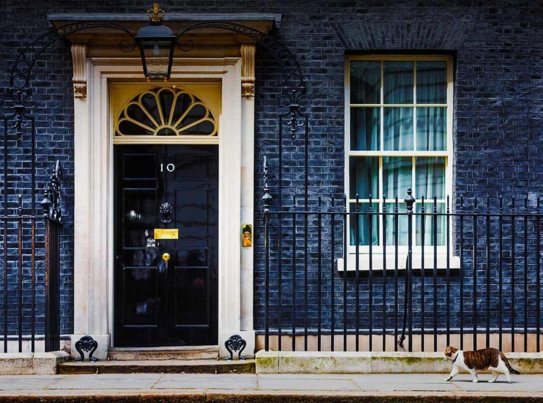 Downing Street Cat Edited 1