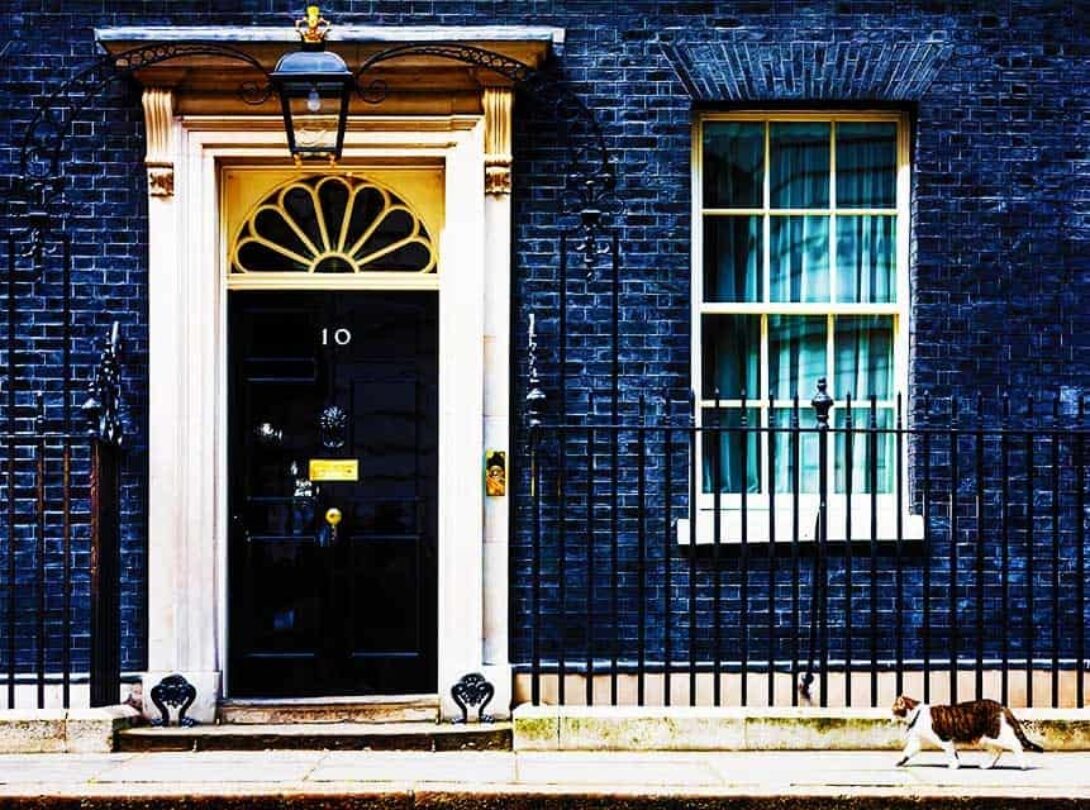 Downing Street Cat Edited