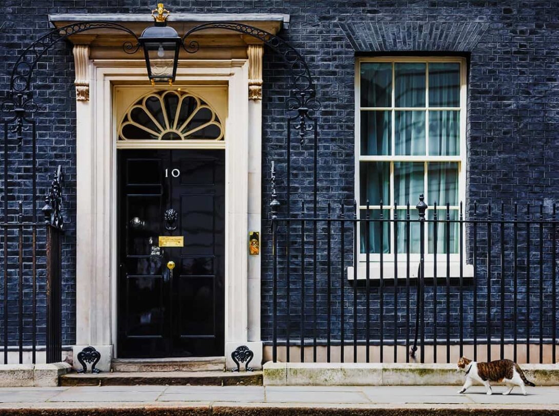 Downing Street Cat Gradient
