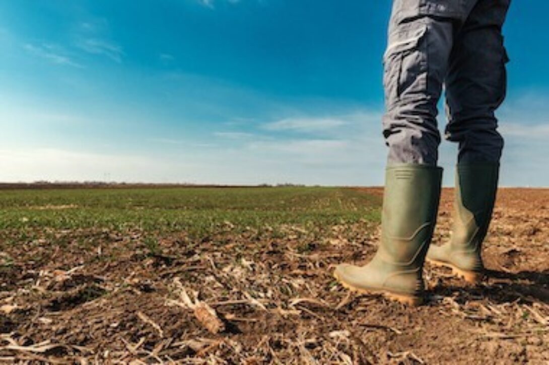 Field