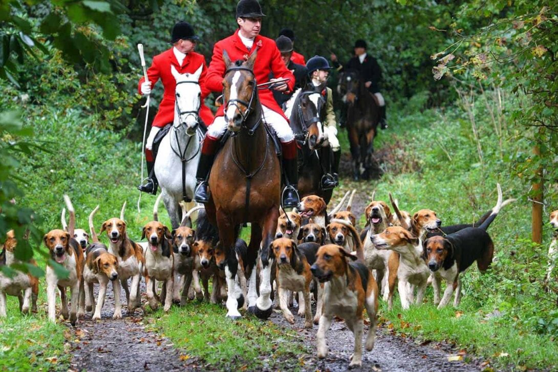 Horses and Hounds edited