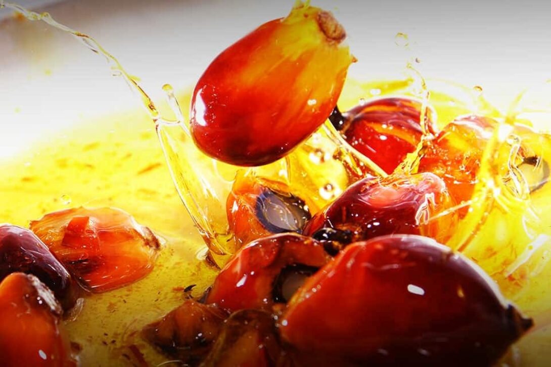 Palm Oil Fruit Oil Edited