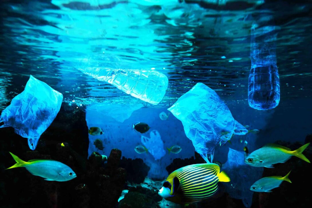 Plastic Ocean Edited scaled