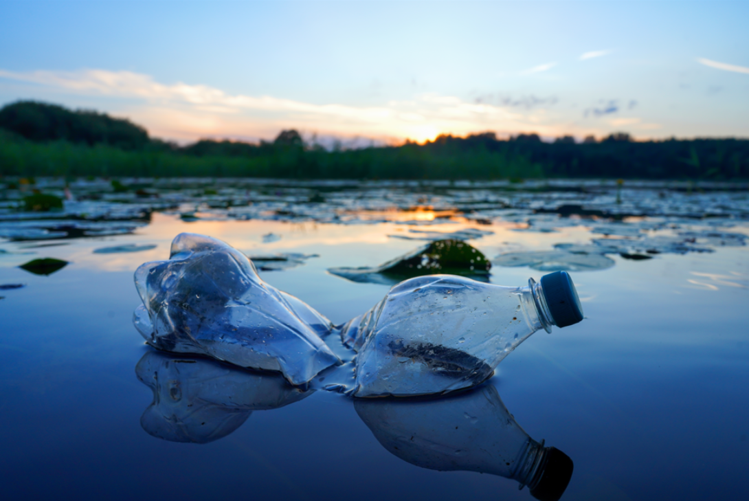 Plastic pollution