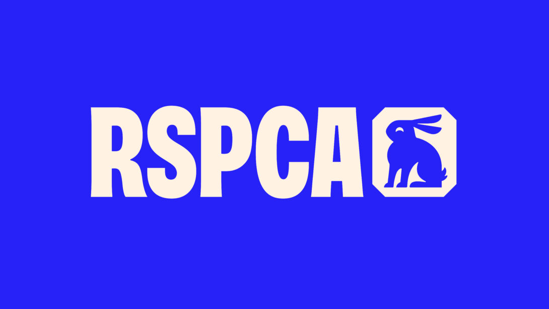 Image: RSPCA