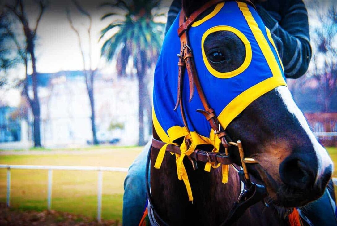 Race Horse Edited
