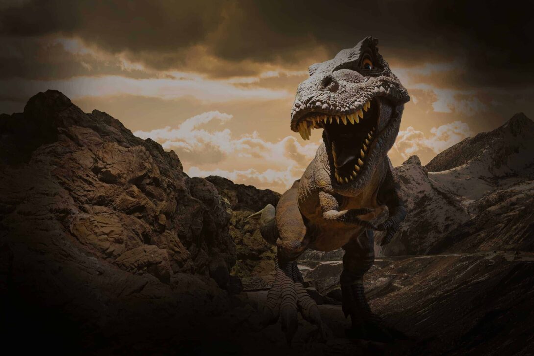 T rex Gradient