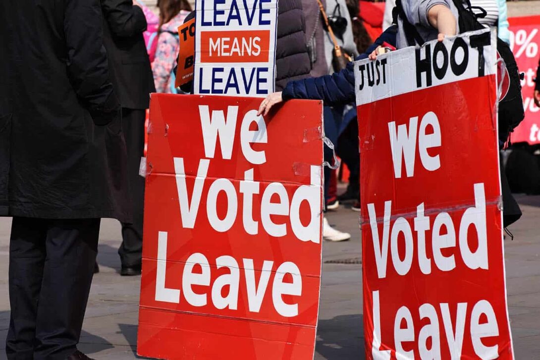 Vote Leave protest edited