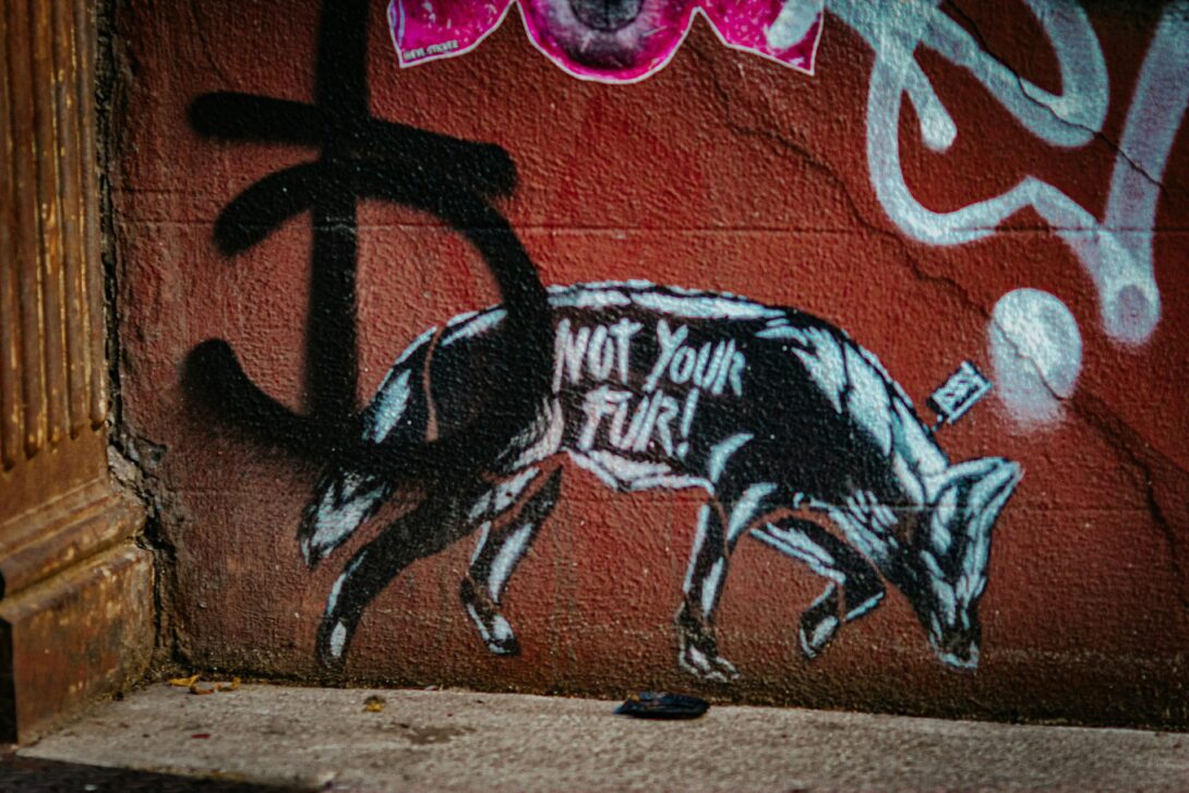 Jon tyson Svng0 Hk Wh1 Y unsplash
