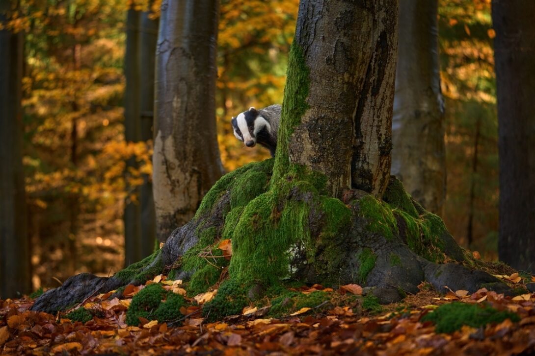 Shutterstock 2395894291