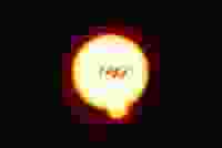 1984 Edited