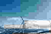 39254439732 522f8d28c7 b