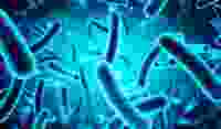 Bacteria Cells Edited