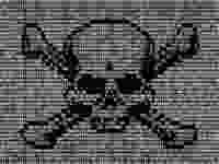 Digital skull and crossbones Edited
