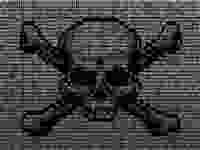 Digital skull and crossbones Gradient