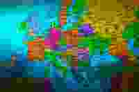 Europe Map Vibrant 2