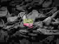 Holocaust Shoes Edited