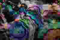 Oyster Shell Gradient