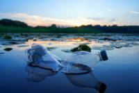 Plastic pollution