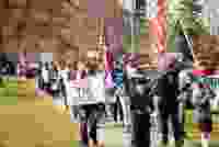 Stop the steal protest edited