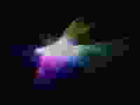 Void Edited