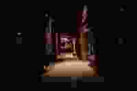 Aaron chavez TG Sojb Iny 8 unsplash