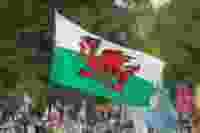 Balesstudio 4do5 Kyh TVHQ unsplash