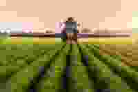 Farm