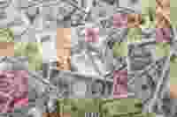 John mcarthur QBE Lh JJ Hc Iw unsplash