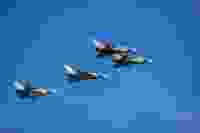 Saikrishna saketh yellapragada f1 Eo GM6 UGQY unsplash