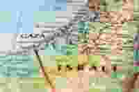 Shutterstock 1534891646 1