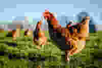 Shutterstock 1695190498