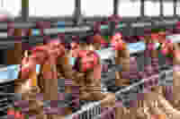 Shutterstock 1724075230