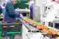 Shutterstock 1866091186 1