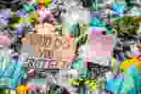 Shutterstock 1939392895 1
