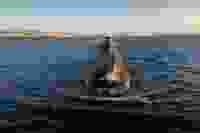 Shutterstock 2008005947 1