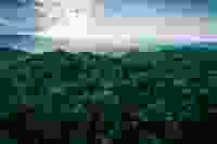 Shutterstock 2033096327