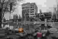 Shutterstock 2238979435