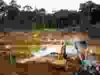 Shutterstock 702873796 1