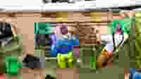 Shutterstock 703318345 1