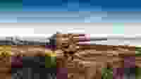 Shutterstock 704176006 1
