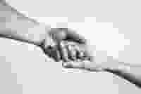 Shutterstock 730330051