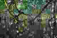 Timothy k 1 Ci E1x4d HIY unsplash