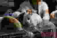 Wu yi e XBK Jgef O Vs unsplash