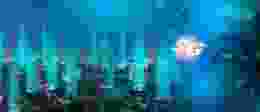 5 G